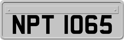 NPT1065