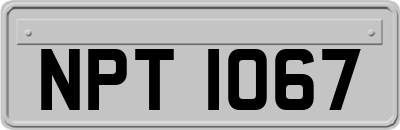 NPT1067