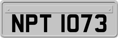 NPT1073