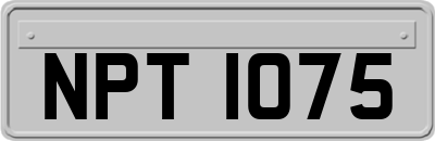 NPT1075