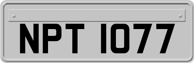 NPT1077