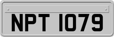 NPT1079