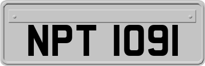 NPT1091
