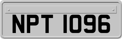 NPT1096