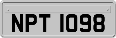 NPT1098