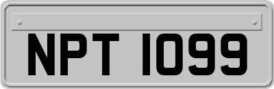 NPT1099