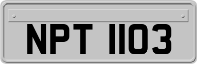 NPT1103
