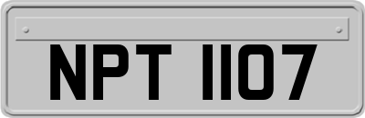 NPT1107