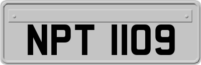 NPT1109
