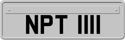 NPT1111