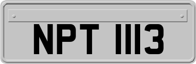NPT1113