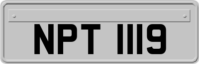 NPT1119