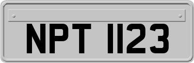 NPT1123
