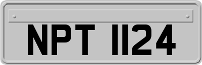 NPT1124