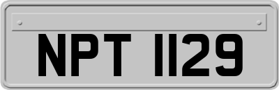 NPT1129