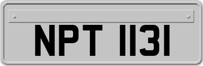 NPT1131