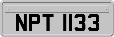 NPT1133
