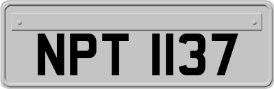 NPT1137