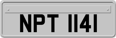 NPT1141