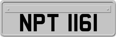 NPT1161