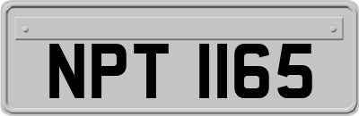 NPT1165