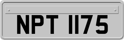 NPT1175