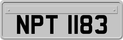 NPT1183