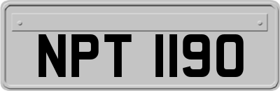 NPT1190