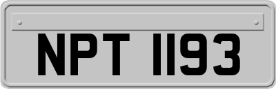 NPT1193