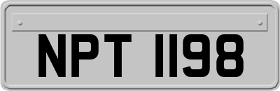 NPT1198