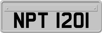 NPT1201