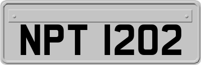 NPT1202