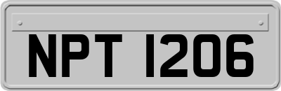 NPT1206