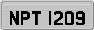 NPT1209