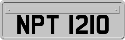 NPT1210