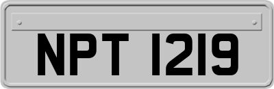 NPT1219