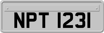 NPT1231