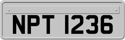 NPT1236