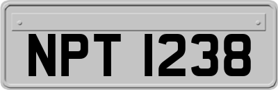 NPT1238