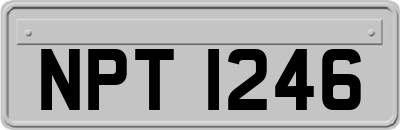 NPT1246