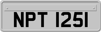 NPT1251