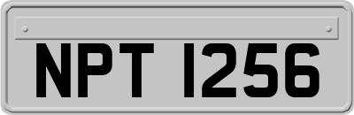 NPT1256