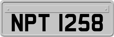 NPT1258