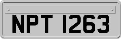 NPT1263