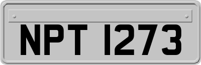NPT1273