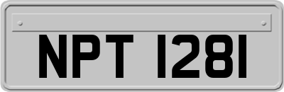 NPT1281