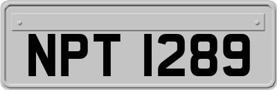 NPT1289