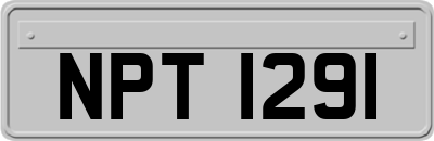 NPT1291
