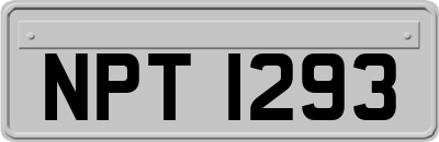 NPT1293