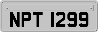 NPT1299